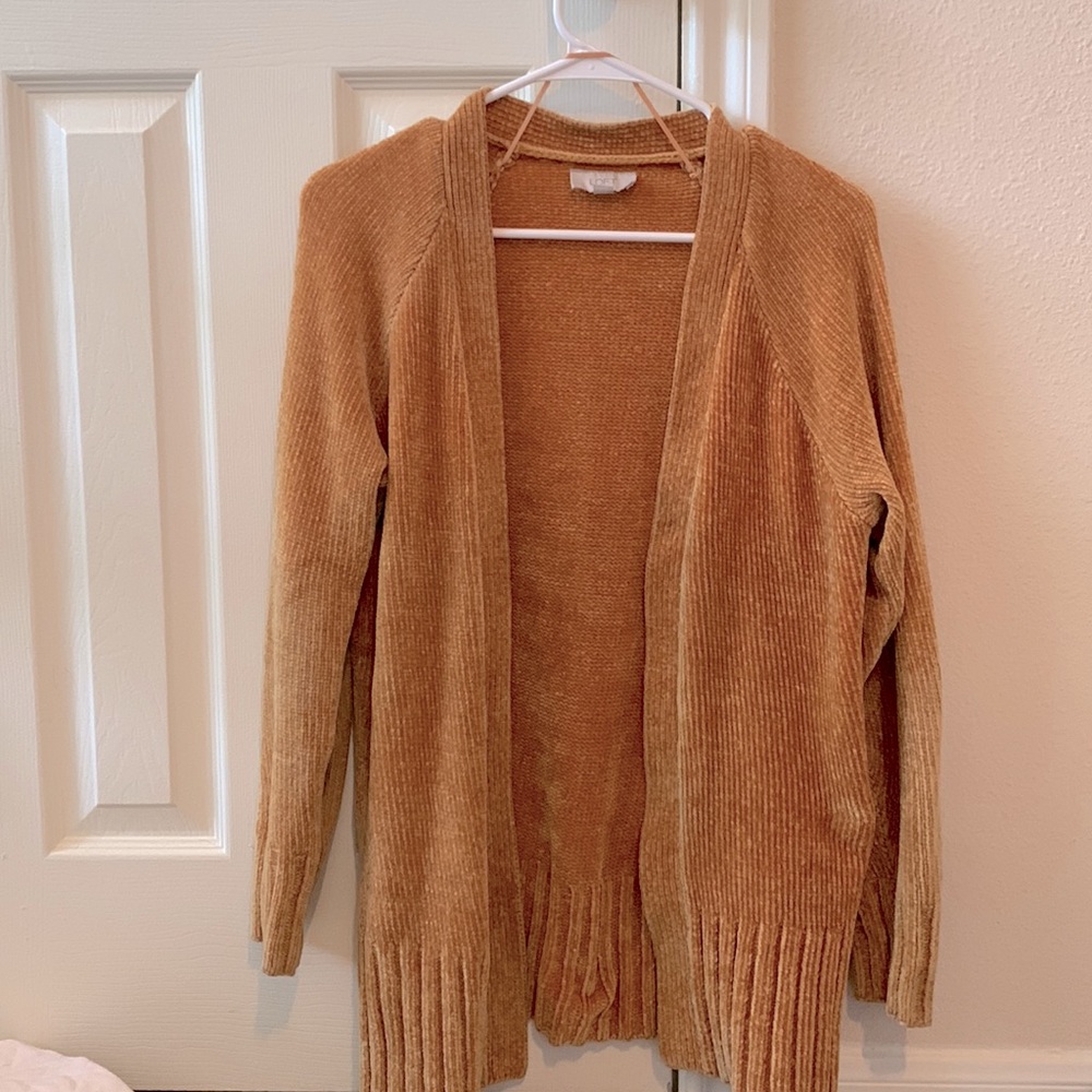 LOFT Cardigan